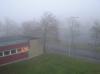 <img100*0:stuff/z/1/MoreFog/p1010005.jpg>