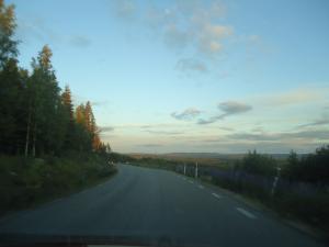 <img300*0:stuff/z/1/MoreLjusdalPics/DSC06790.JPG>