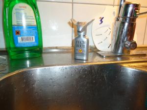 <img300*0:stuff/z/1/MovingInParty/DSC07089.JPG>