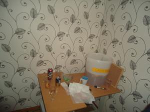<img300*0:stuff/z/1/MovingInParty/DSC07090.JPG>