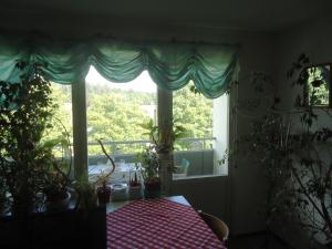 <img300*0:stuff/z/1/MyFlat2013-06-16/DSC08527.JPG>