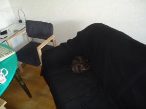 <img300*0:stuff/z/1/MyFlat2013-06-16/DSC08528.JPG>