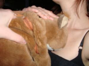 <img300*0:stuff/z/1/New%2520year%25202008/dsc01048.jpg>