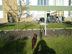 <img300*0:stuff/z/1/NotGoingToTheKravall/dsc04553.jpg>