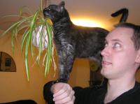 <img200*0:stuff/z/1/Only%2520Hedda/p1010002.jpg>