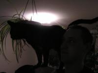 <img200*0:stuff/z/1/Only%2520Hedda/p1010003.jpg>