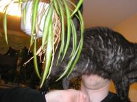 <img200*0:stuff/z/1/Only%2520Hedda/p1010005.jpg>