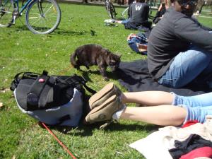 <img300*0:stuff/z/1/Picnic%2520TGF/DSC00103.JPG>