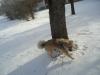 Piike2013-02-26