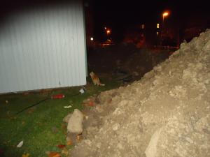 <img300*0:stuff/z/1/PrePreHalloween2010/dsc03226.jpg>