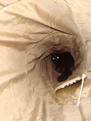 <img300*0:stuff/z/1/Riikka/DSC06138.JPG>