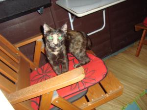 <img300*0:stuff/z/1/Riikka/DSC06140.JPG>
