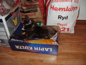 <img300*0:stuff/z/1/Riikka/DSC06150.JPG>