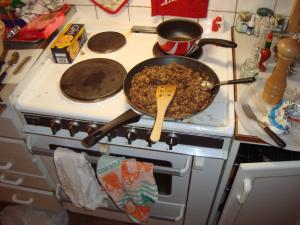 <img300*0:stuff/z/1/Riikka/DSC06168.JPG>