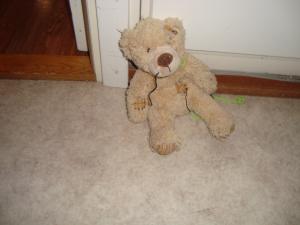 <img300*0:stuff/z/1/Riikka/DSC06170.JPG>
