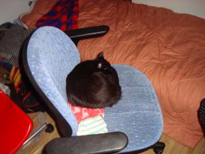 <img300*0:stuff/z/1/Riikka/DSC06171.JPG>