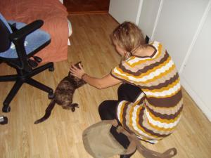<img300*0:stuff/z/1/Riikka/DSC06175.JPG>