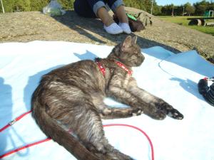 <img300*0:stuff/z/1/Rocky2011/dsc05464.jpg>
