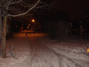 <img300*0:stuff/z/1/Ryd%2520Winter%2520Photos/DSC07812.JPG>
