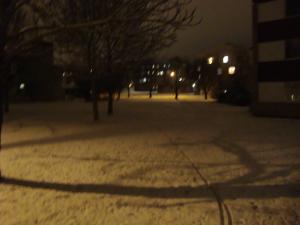 <img300*0:stuff/z/1/Ryd%2520Winter%2520Photos/DSC07814.JPG>