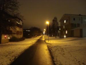 <img300*0:stuff/z/1/Ryd%2520Winter%2520Photos/DSC07815.JPG>
