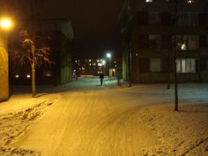 <img300*0:stuff/z/1/Ryd%2520Winter%2520Photos/DSC07818.JPG>