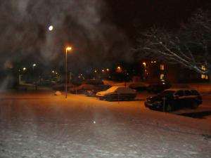 <img300*0:stuff/z/1/Ryd%2520Winter%2520Photos/DSC07819.JPG>