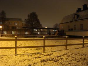 <img300*0:stuff/z/1/Ryd%2520Winter%2520Photos/DSC07830.JPG>