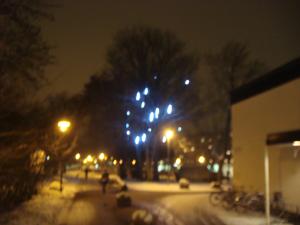 <img300*0:stuff/z/1/Ryd%2520Winter%2520Photos/DSC07833.JPG>