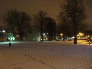 <img300*0:stuff/z/1/Ryd%2520Winter%2520Photos/DSC07835.JPG>