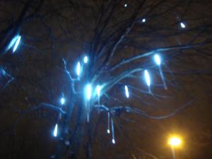<img300*0:stuff/z/1/Ryd%2520Winter%2520Photos/DSC07836.JPG>