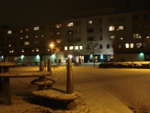<img300*0:stuff/z/1/Ryd%2520Winter%2520Photos/DSC07837.JPG>