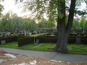 <img300*0:stuff/z/1/SOF2009Cortege/DSC03704.JPG>