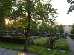 <img300*0:stuff/z/1/SOF2009Cortege/DSC03707.JPG>