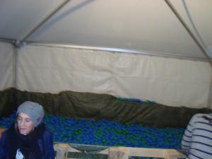 <img300*0:stuff/z/1/SOF2009Thursday/DSC02982.JPG>