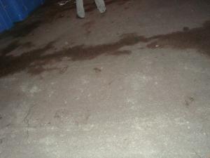 <img300*0:stuff/z/1/SOF2009Thursday/DSC03080.JPG>