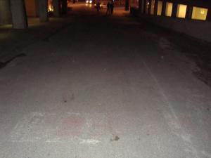 <img300*0:stuff/z/1/SOF2009norrkoping/DSC02850.JPG>