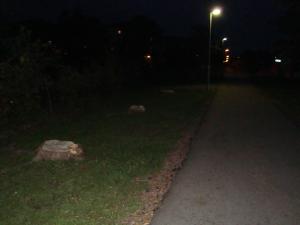 <img300*0:stuff/z/1/SOF2009norrkoping/DSC02942.JPG>