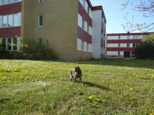 <img300*0:stuff/z/1/SOF2011Saturday/dsc04747.jpg>