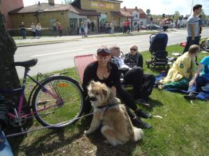 <img300*0:stuff/z/1/SOF2013Cortege/DSC08220.JPG>