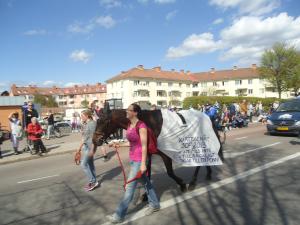<img300*0:stuff/z/1/SOF2013Cortege/DSC08316.JPG>