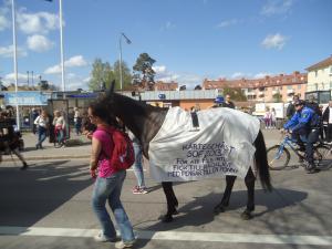 <img300*0:stuff/z/1/SOF2013Cortege/DSC08317.JPG>