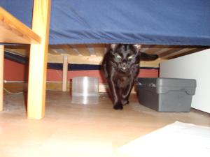<img300*0:stuff/z/1/Sa2009-02-21/DSC00732.JPG>