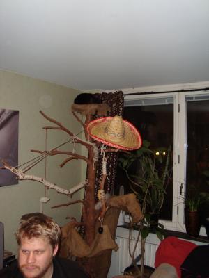 <img300*0:stuff/z/1/Sa2009-02-21/DSC00753.JPG>