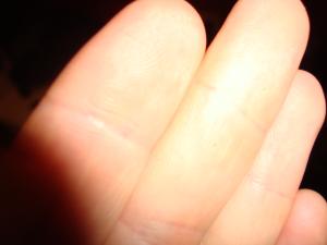 <img300*0:stuff/z/1/Sa2009-02-21/DSC00783.JPG>