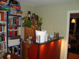 <img300*0:stuff/z/1/Sa2009-02-21b/DSC00796.JPG>