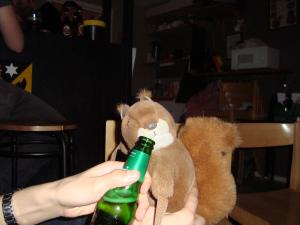 <img300*0:stuff/z/1/Sa2009-03-14/DSC01106.JPG>