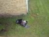 Saturday2009-07-04