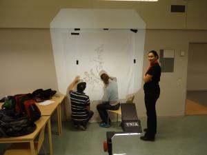 <img300*0:stuff/z/1/Sheet%2520Painting/dsc02795.jpg>