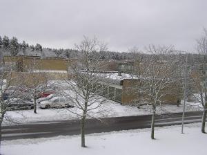 <img300*0:stuff/z/1/Snowy%2520trees/p1010001.jpg>